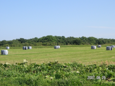 s_PICT0468.jpg